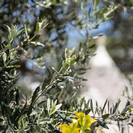 Trullo Leone-2